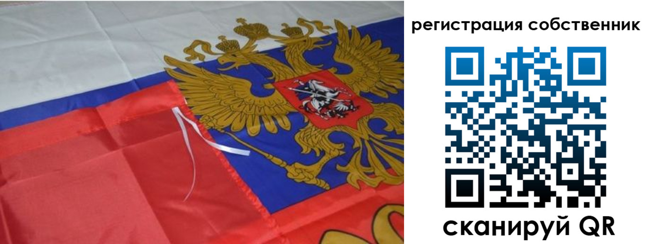 прописка законно в Пионерском