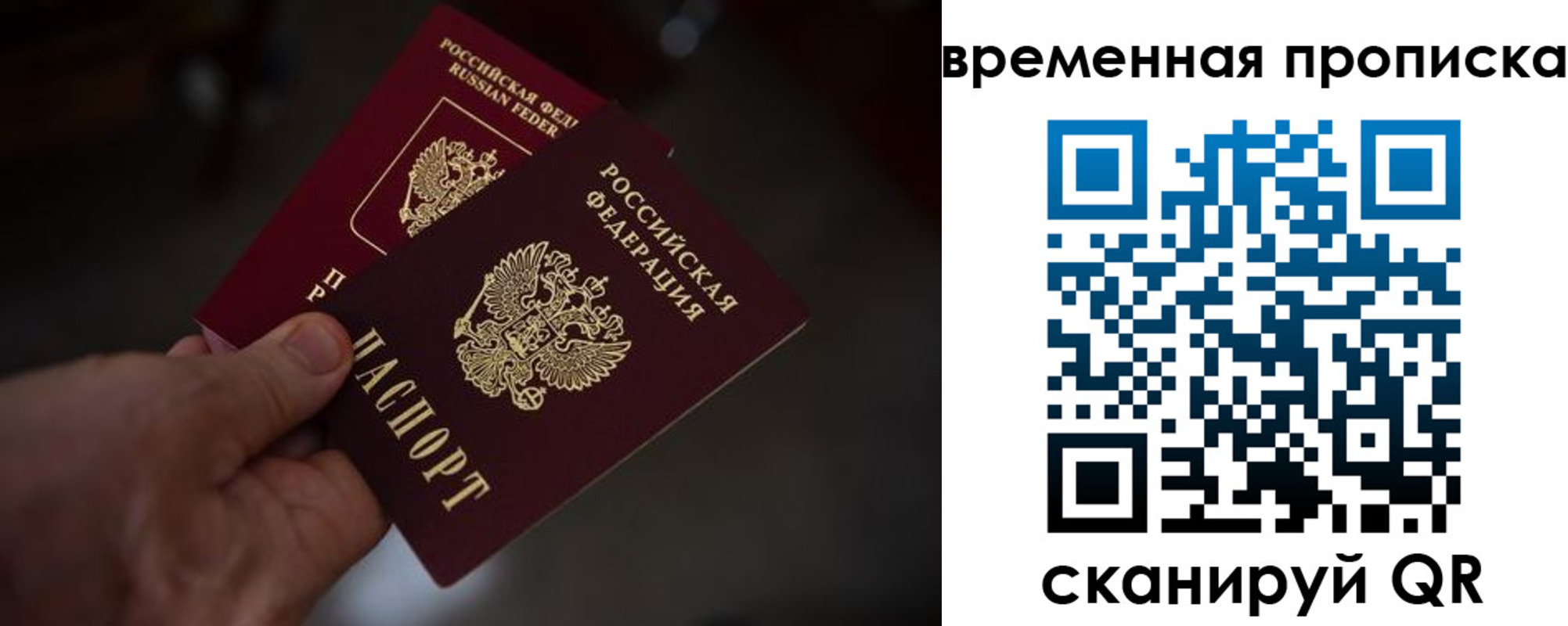 прописка в Пионерском
