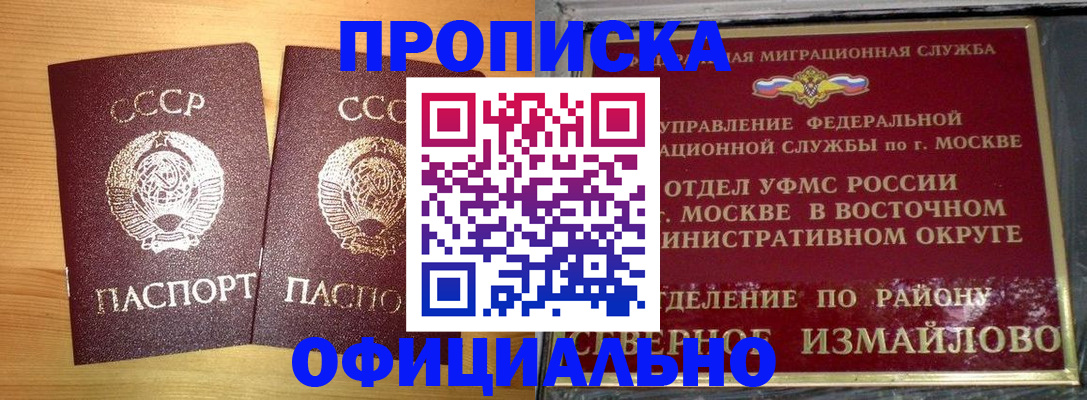 купить прописку в Пионерском